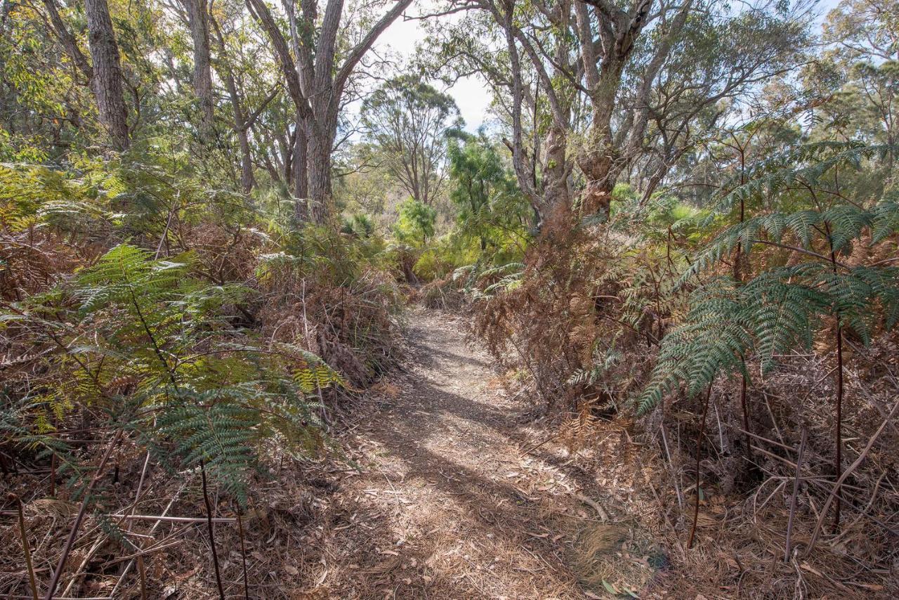 מטריטופ Yelverton Brook Conservation Sanctuary מראה חיצוני תמונה