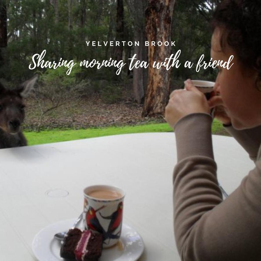 מטריטופ Yelverton Brook Conservation Sanctuary מראה חיצוני תמונה