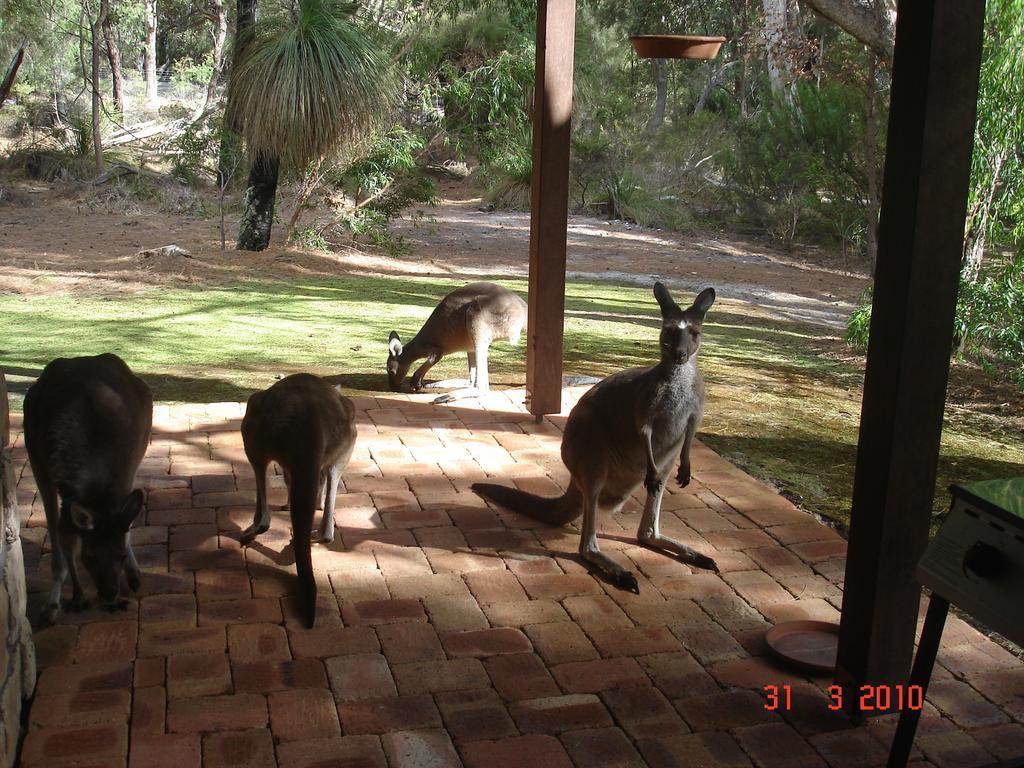 מטריטופ Yelverton Brook Conservation Sanctuary מראה חיצוני תמונה