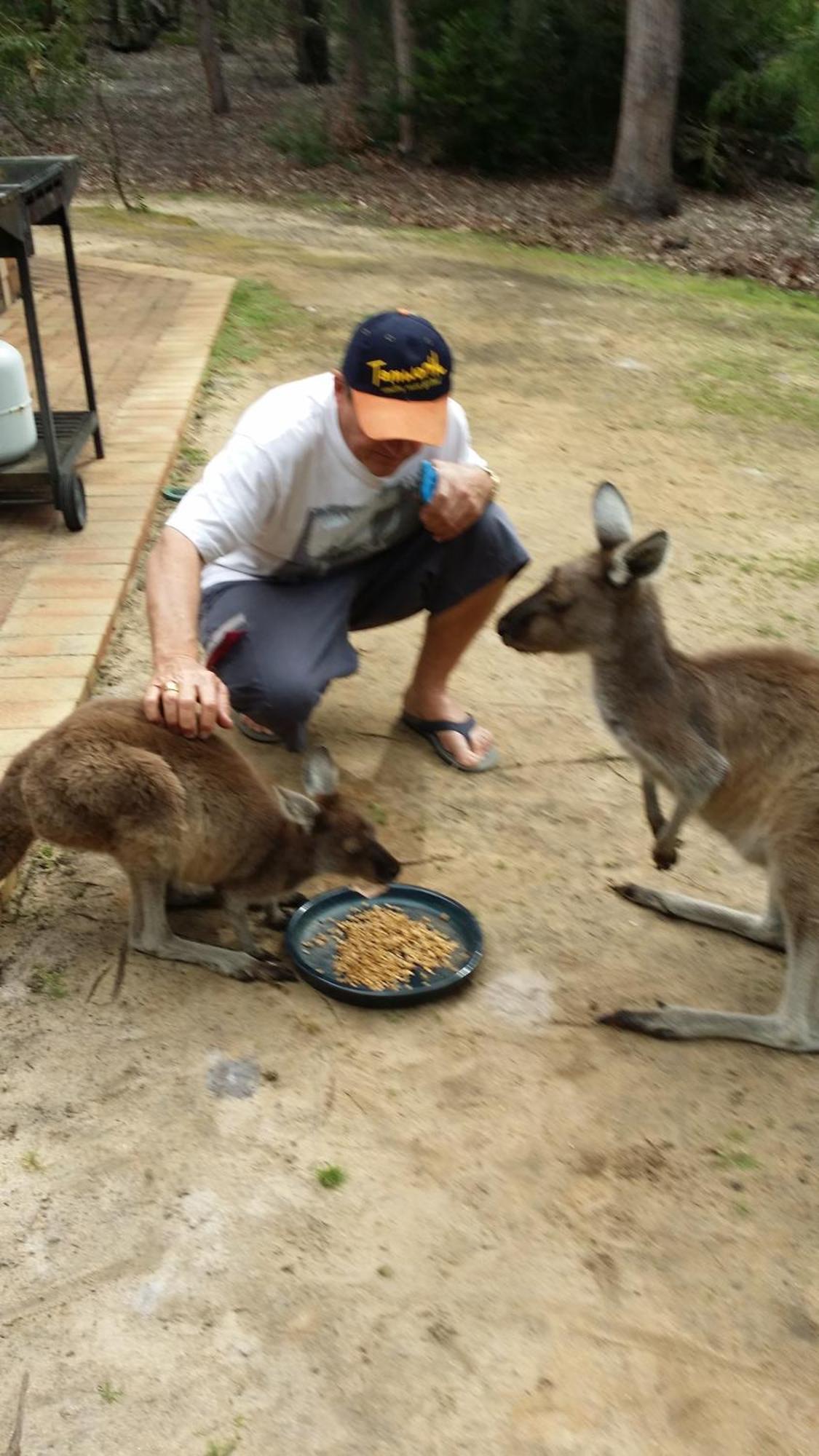 מטריטופ Yelverton Brook Conservation Sanctuary מראה חיצוני תמונה