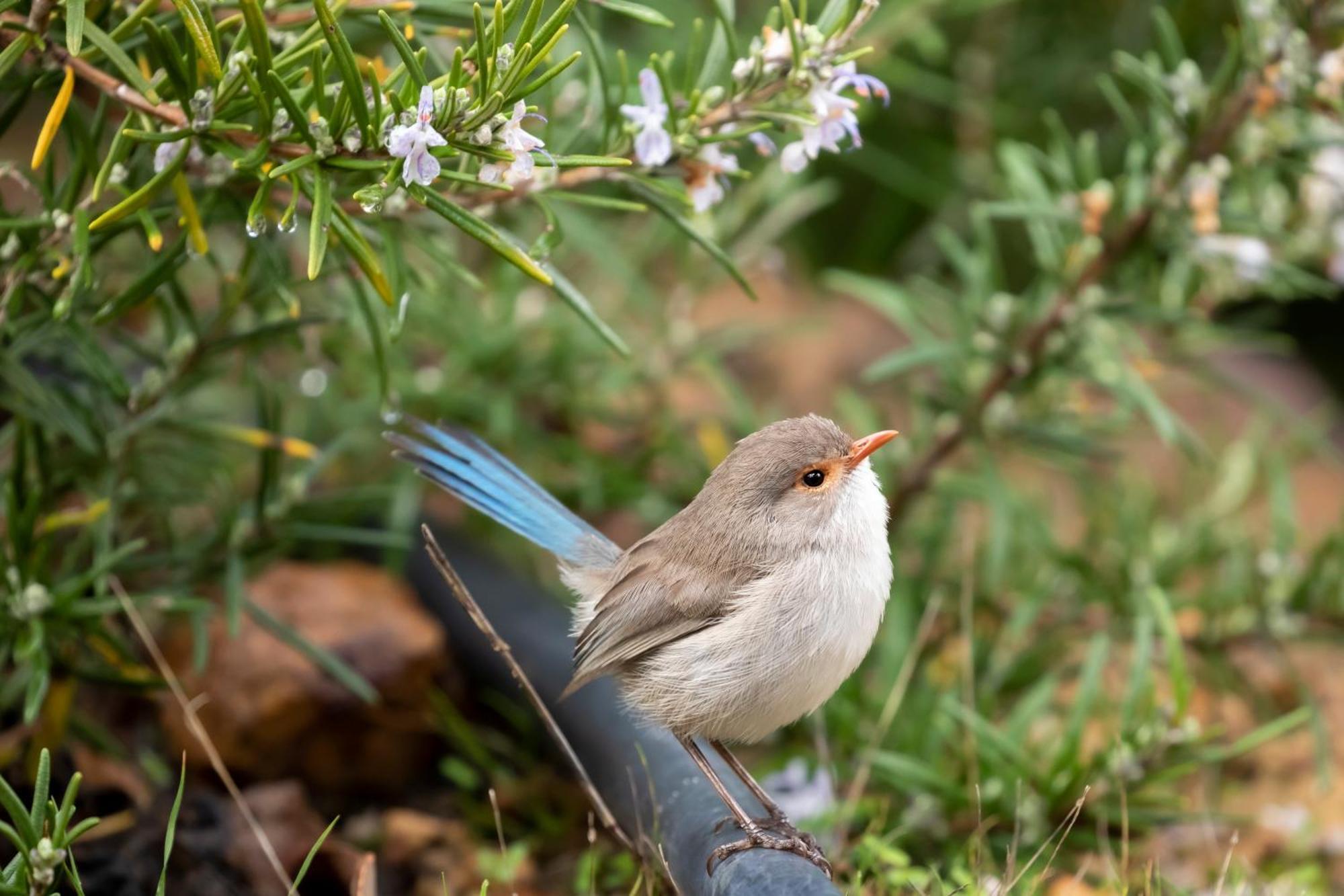 מטריטופ Yelverton Brook Conservation Sanctuary מראה חיצוני תמונה