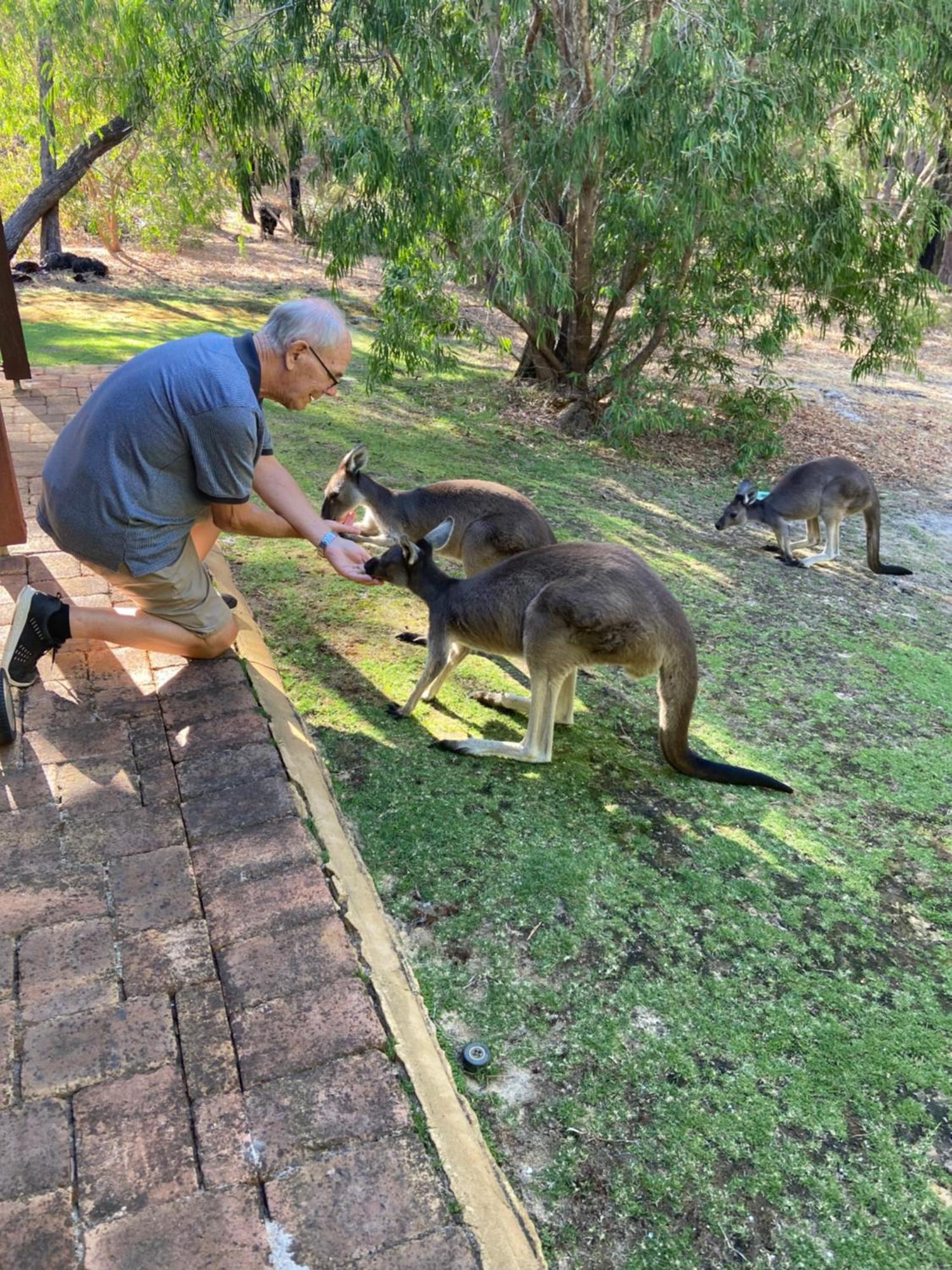 מטריטופ Yelverton Brook Conservation Sanctuary מראה חיצוני תמונה