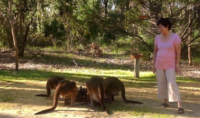 מטריטופ Yelverton Brook Conservation Sanctuary מראה חיצוני תמונה