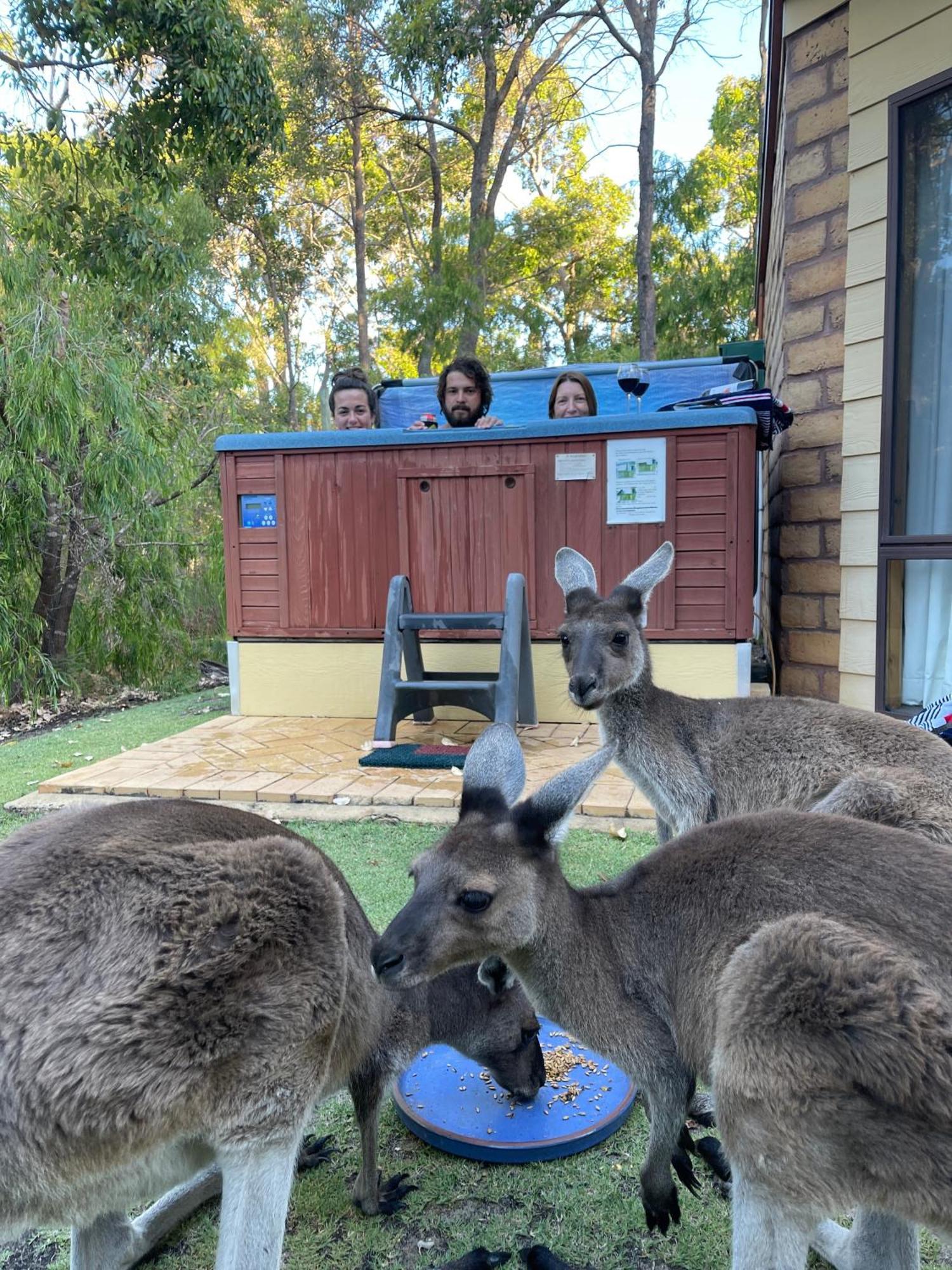 מטריטופ Yelverton Brook Conservation Sanctuary מראה חיצוני תמונה