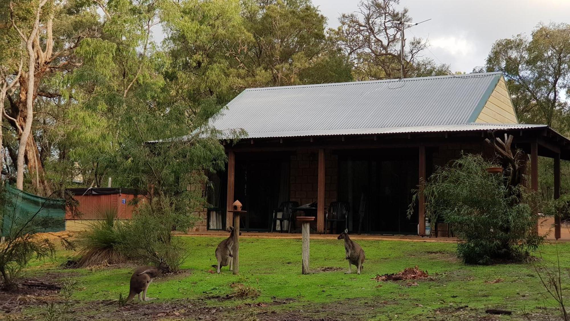 מטריטופ Yelverton Brook Conservation Sanctuary מראה חיצוני תמונה