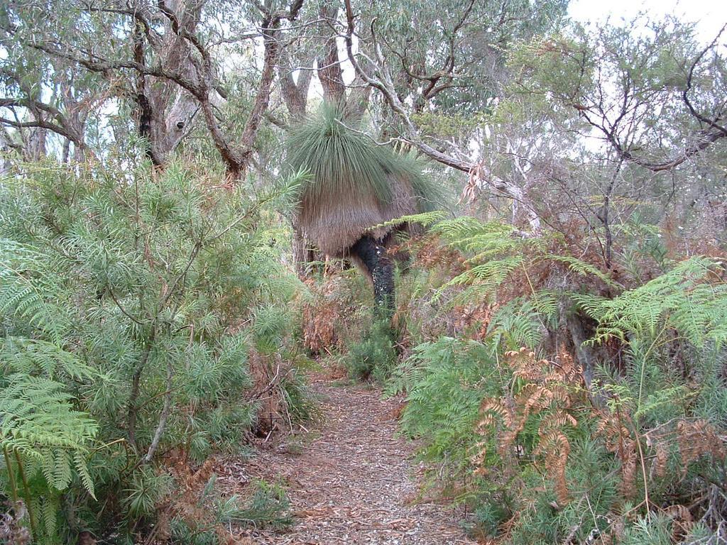 מטריטופ Yelverton Brook Conservation Sanctuary מראה חיצוני תמונה