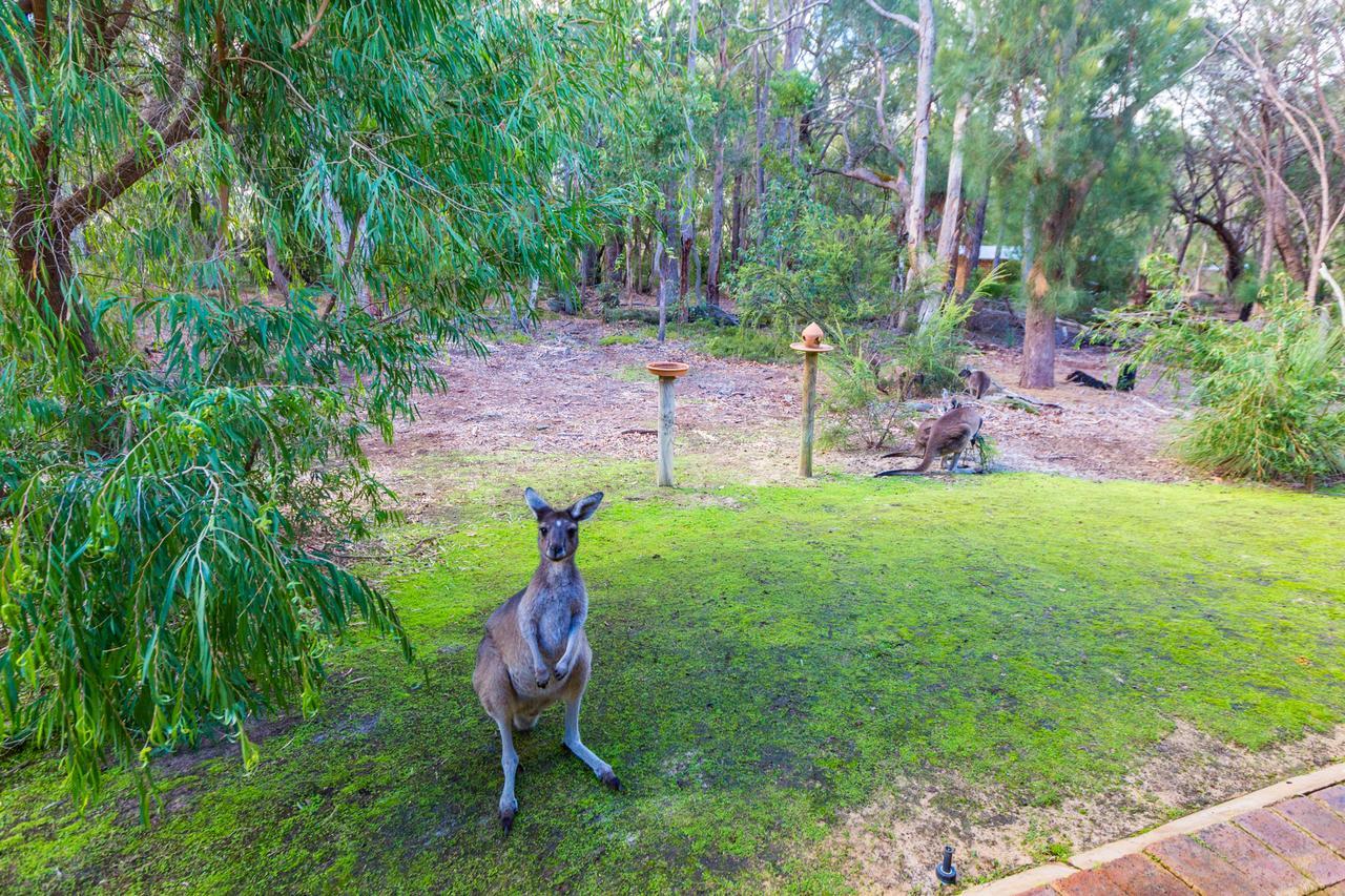 מטריטופ Yelverton Brook Conservation Sanctuary מראה חיצוני תמונה